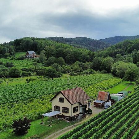 Dandelion Bed & Breakfast Рибовиль Экстерьер фото